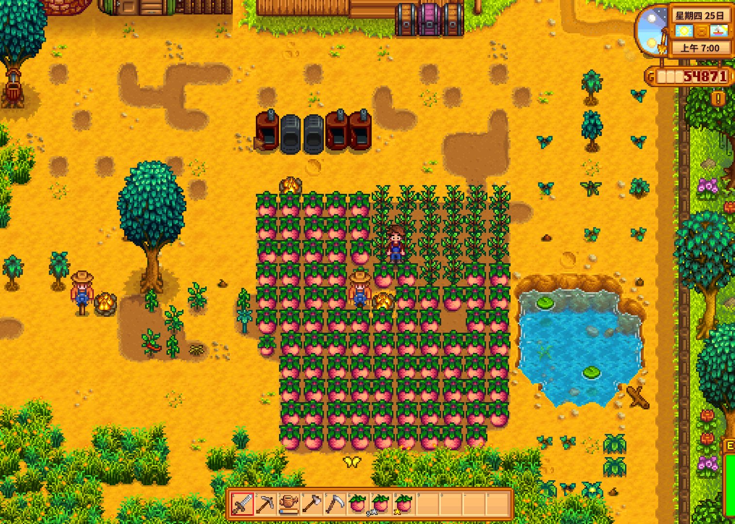 勇者斗恶龙11 年度版 截图11