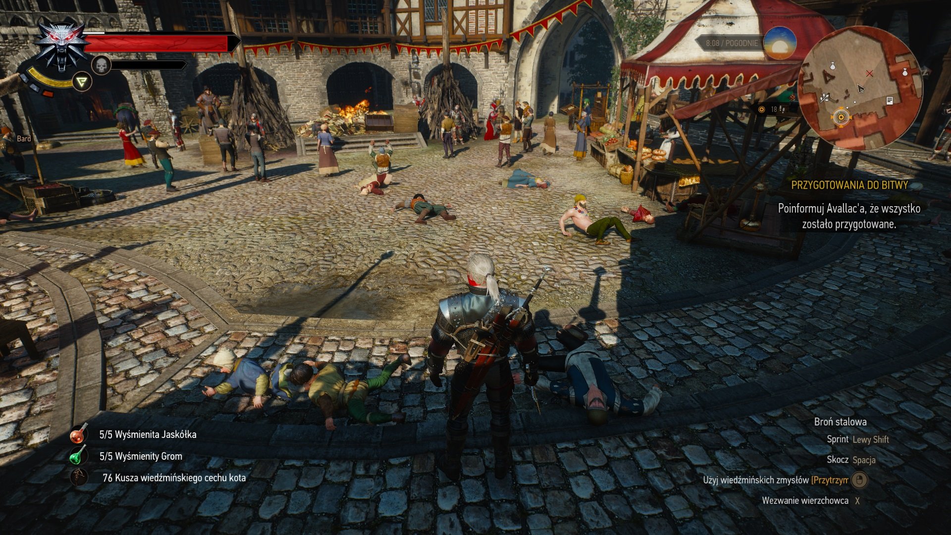 巫师3：狂猎 年度版 截图15