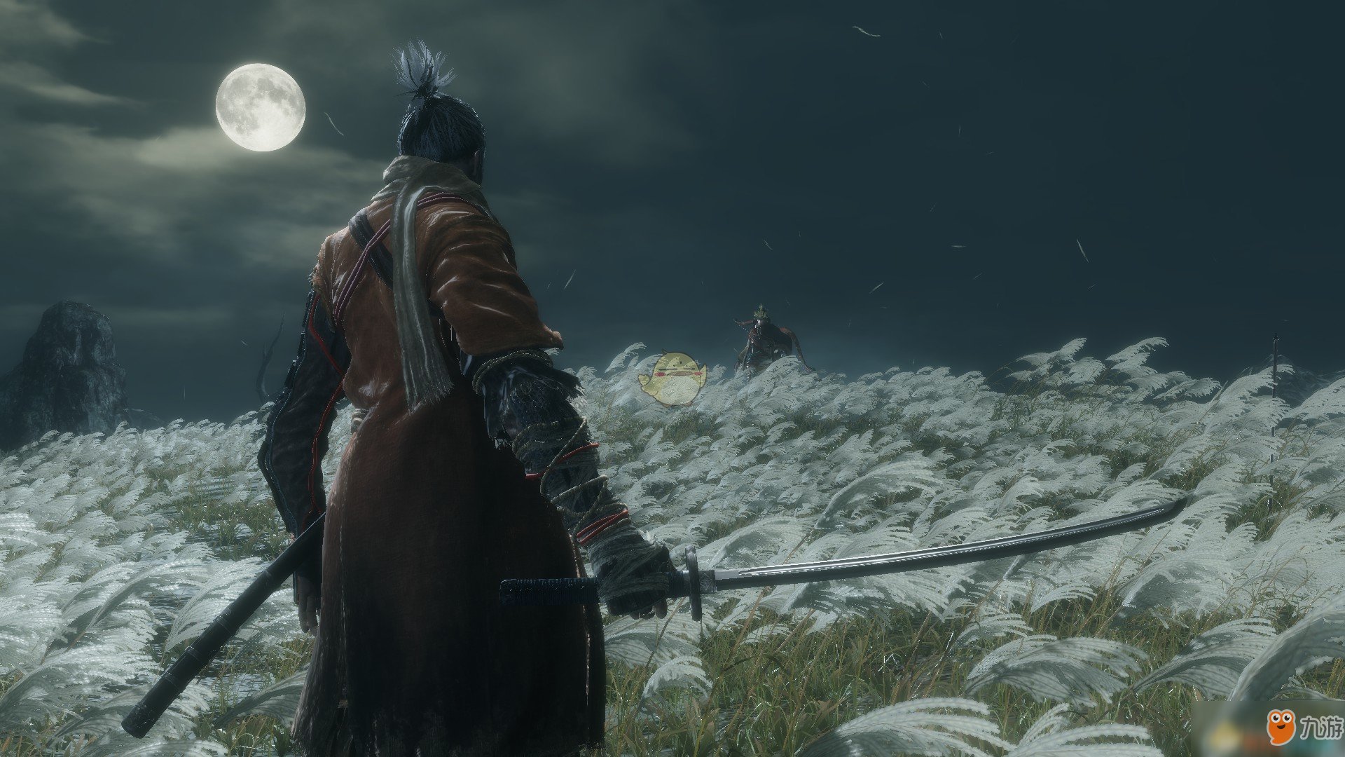 巫师3：狂猎 重制版 截图9